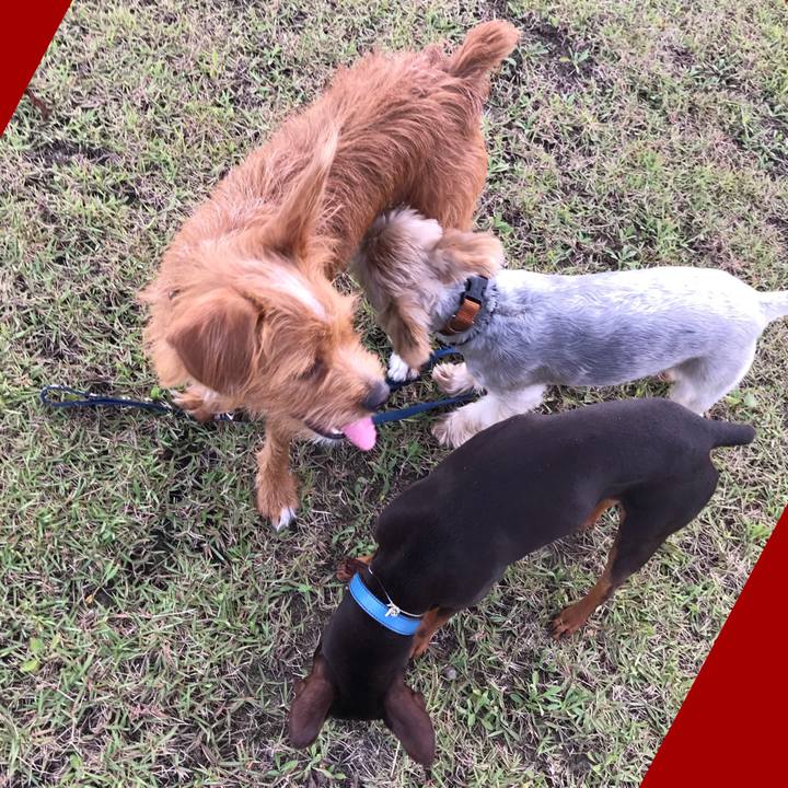 89374c79 47c9 4984 9d26 ad73de022165 1538700089204