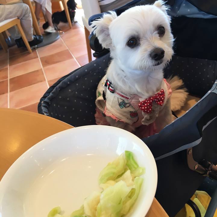 89376010 8cf8 442b 85ad 7083ec8b8d1a 1538909537319