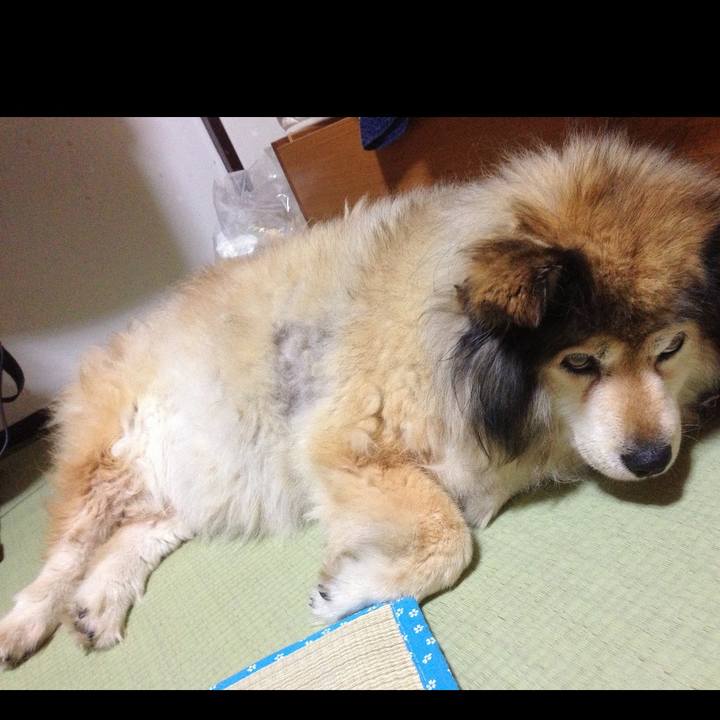 89377c46 cafa 4b1e 980a d14961af1f18 1577234160682