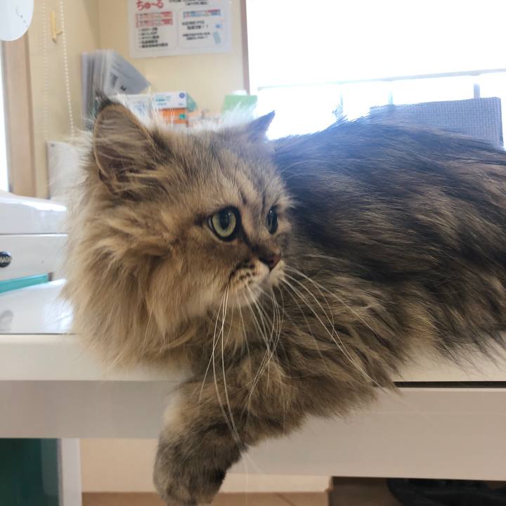 89377da4 5862 43b3 9521 237c418c75f6 1629507808215