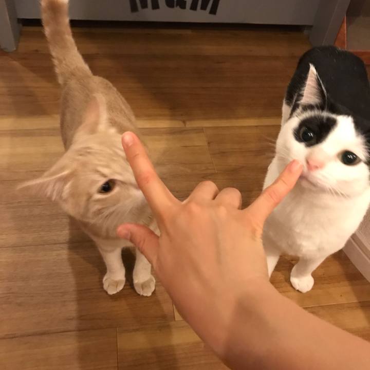 89379373 8dd7 47c2 b501 b470350f31dc 1555927211441