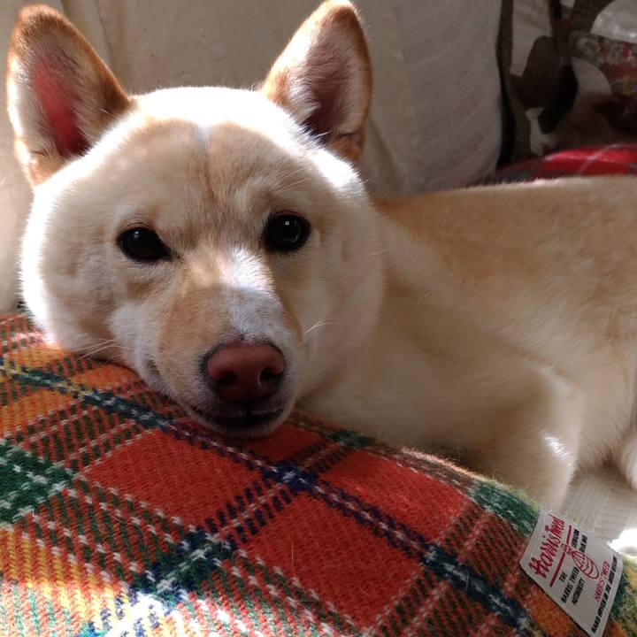 8937a1e5 0df2 41bf aa73 9ee84478ff7c 1525048358081