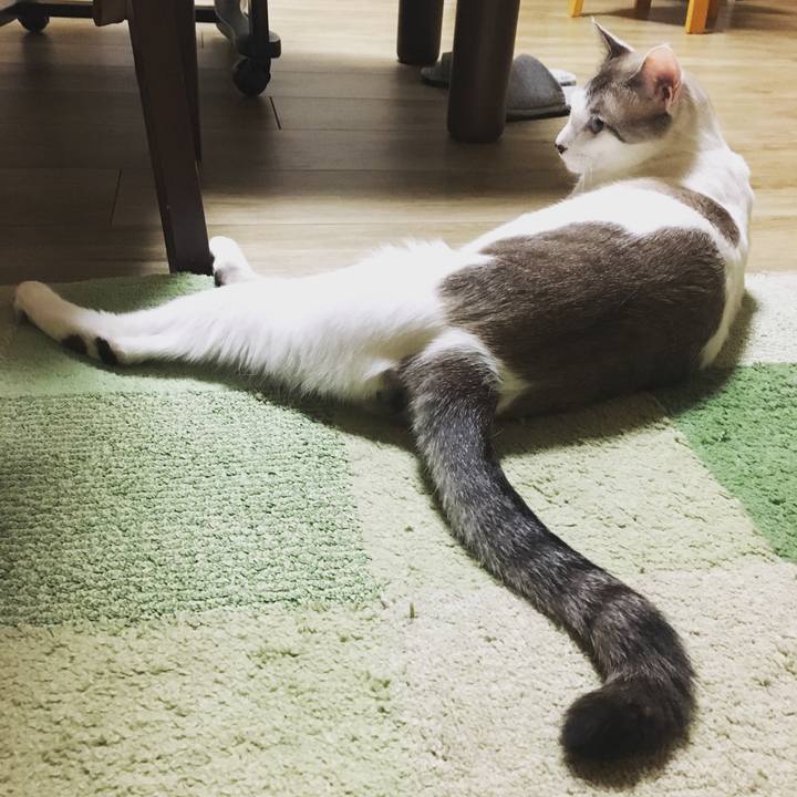 8937aaec 1452 4091 a6f8 b4d40471f252 1567000586742