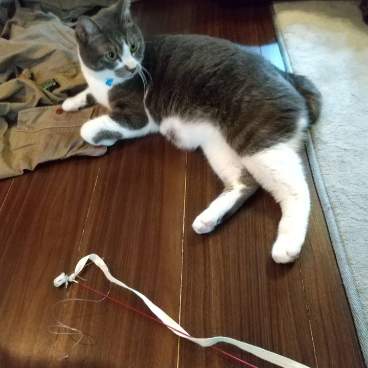 8937acb1 86f0 4bf6 86d7 844e0f0bb0b6 1610322946080