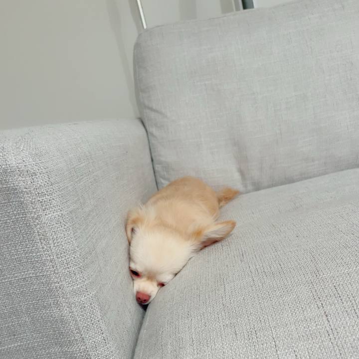 8937b6b0 8746 4dff b5b9 698759a29d77 1689074003147