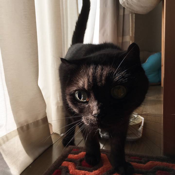 8937e4ac 1850 41e1 922c 89f10319ebe6 1566209346045