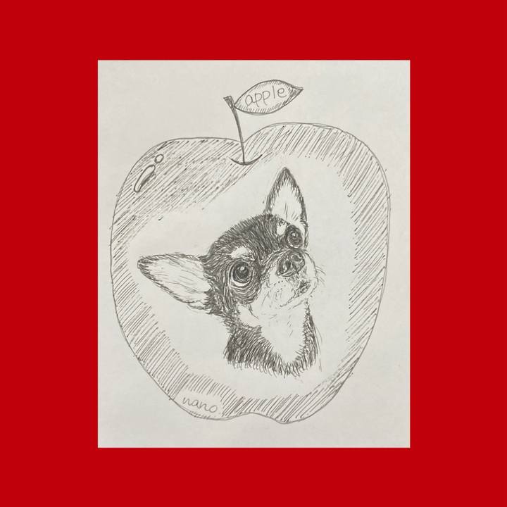 89389909 7a6b 4eb0 bc41 960fd20cf1e7 1653788949653