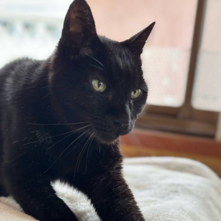 8938e4a6 f841 4c28 88d6 08cb783d1b3c 1709947125596