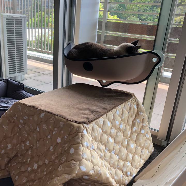 8938f66a e177 480e 87de dd49caf6c67b 1617867162722