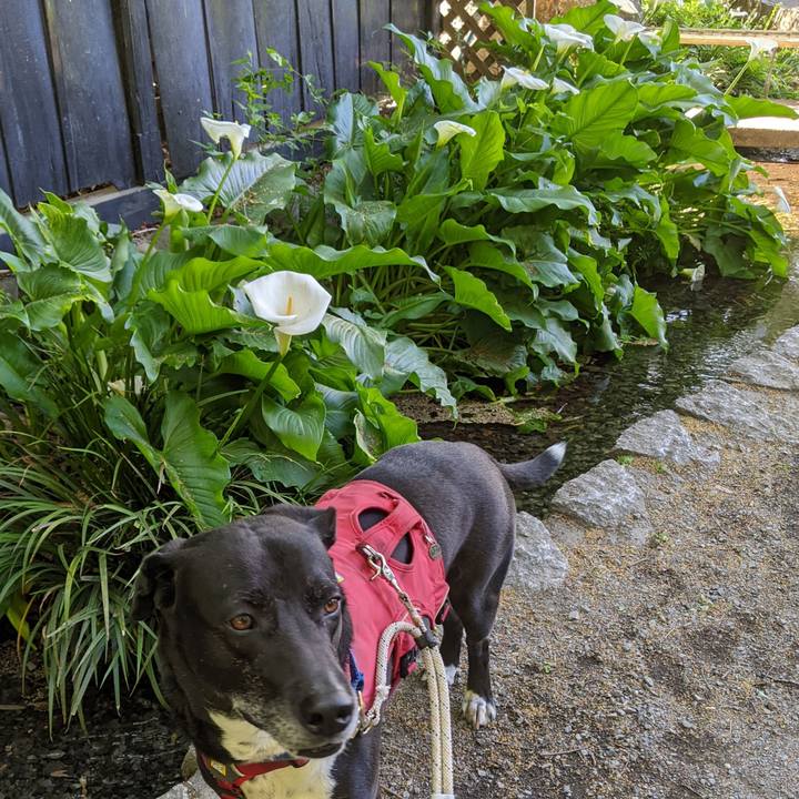 89390ba6 99ca 4b41 bf6b 129e3346e1f7 1681346152658