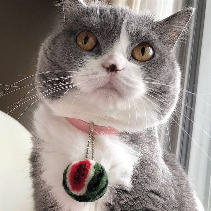 89393f60 0966 4a37 9c70 f595c8e5a31a 1536817237112