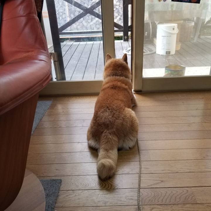 893943a3 877d 4dcd b923 3b73491880fa 1696547494785