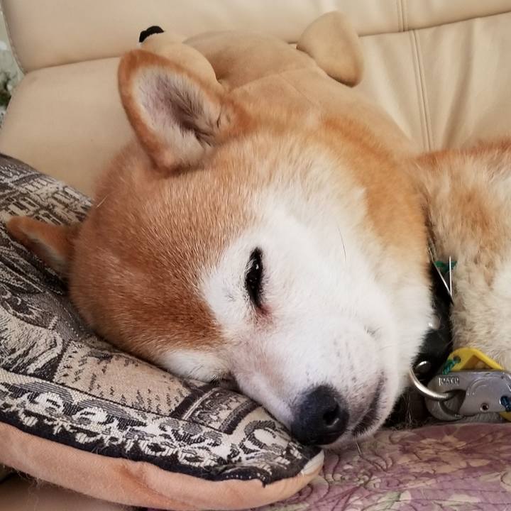 893988a0 796d 40a8 9bd5 ea42cd7ff354 1627015301443