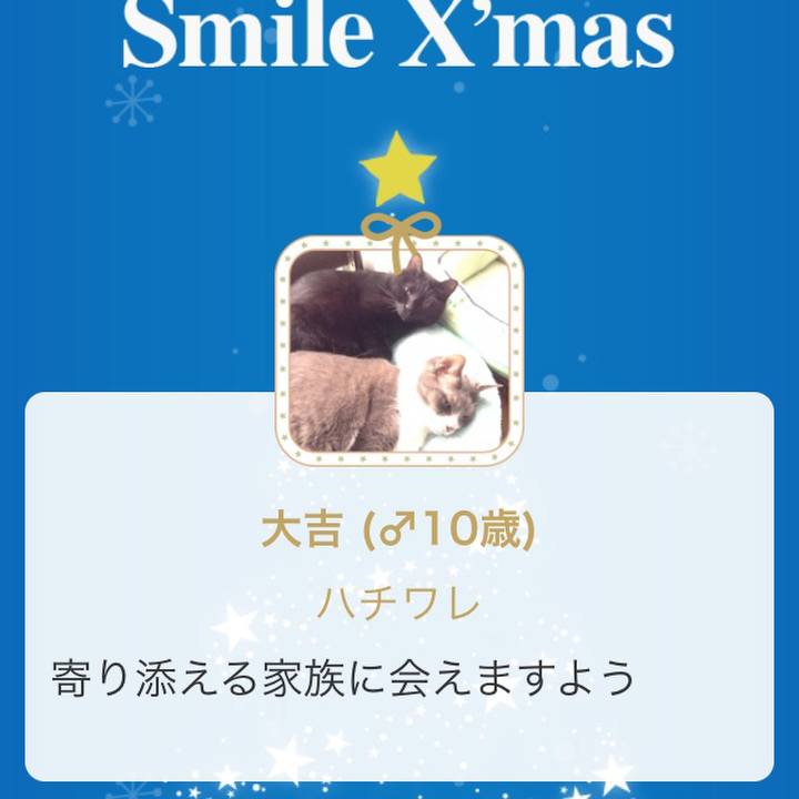 8939f243 547a 4aa1 afaa f802df2f27e0 1544699242377