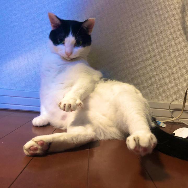 893a0576 14a0 4276 b7a6 79466fe43eca 1562757659996