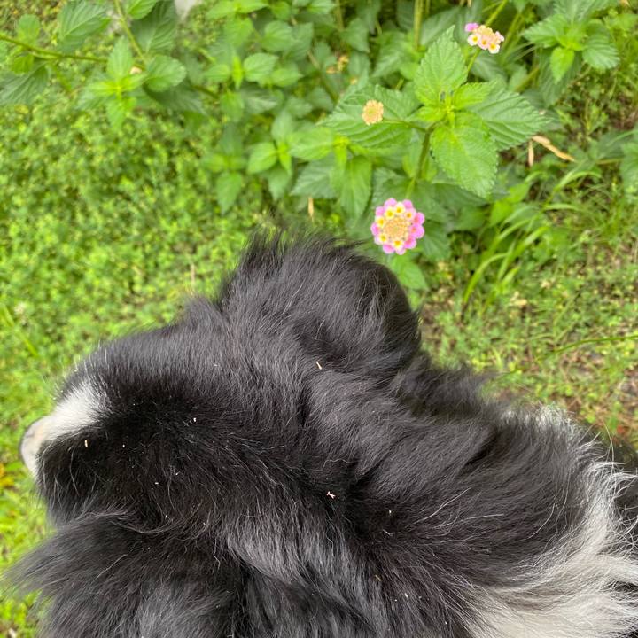 893a34df 9817 488b 908e f9b79bfaf43a 1621384347540