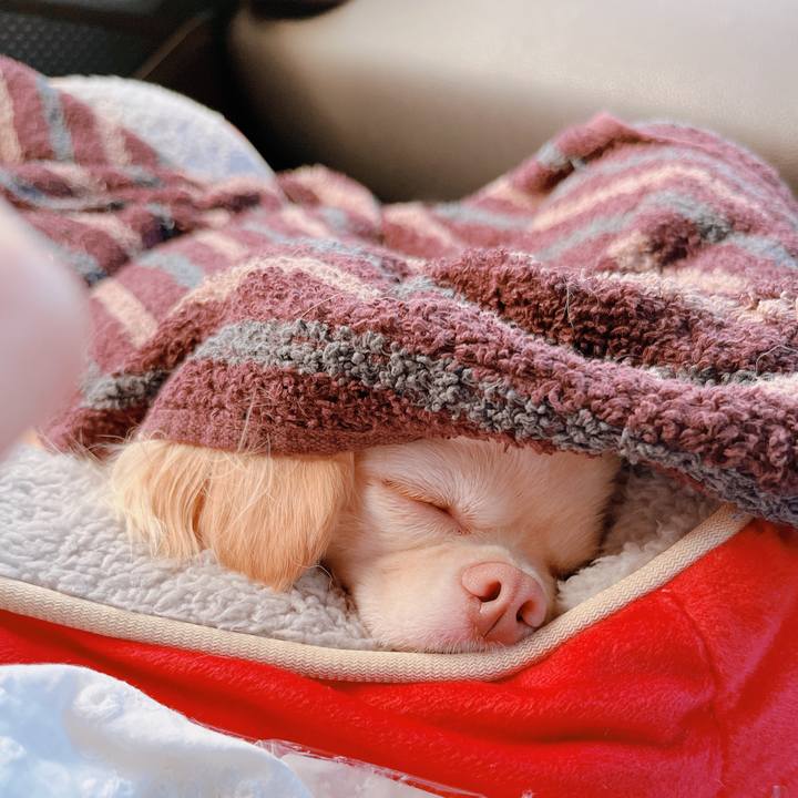 893a36f8 f37a 4688 9443 78c43052d97f 1656249594633