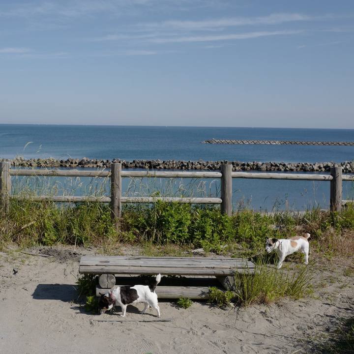 893a71cf a1e6 4b96 9f96 1c9a2a62d1e9 1559446352203