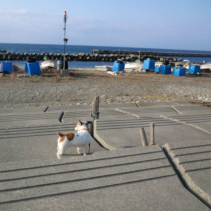 893a9340 b286 4154 904d 46324f641904 1582975357921