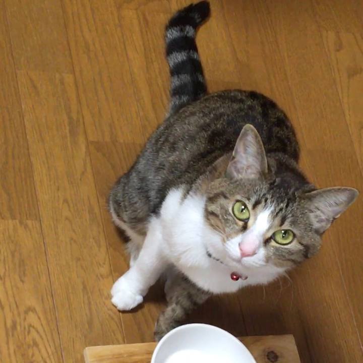 893ac433 d376 470d a048 0ff99d5bb3d4 1687038840414