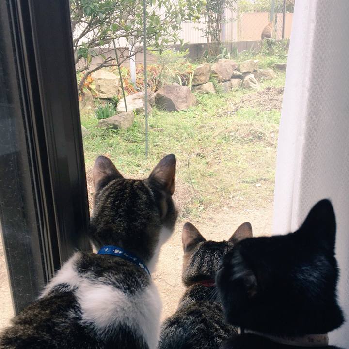 893b0d41 514e 447c 9d7a 1963590daac2 1508807347398