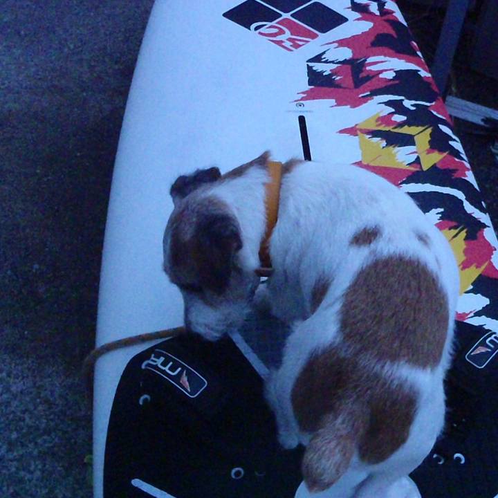 893b0ea4 6976 4b34 800e 140dc56250ff 1539767207253