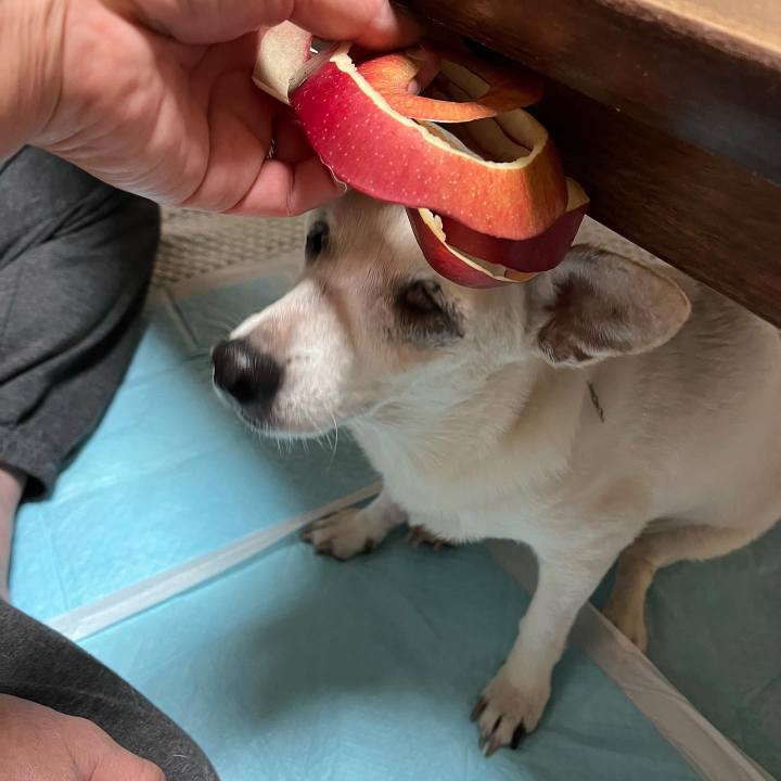 893b2c6c 2511 4619 b592 0742d2c8dc20 1699884046362