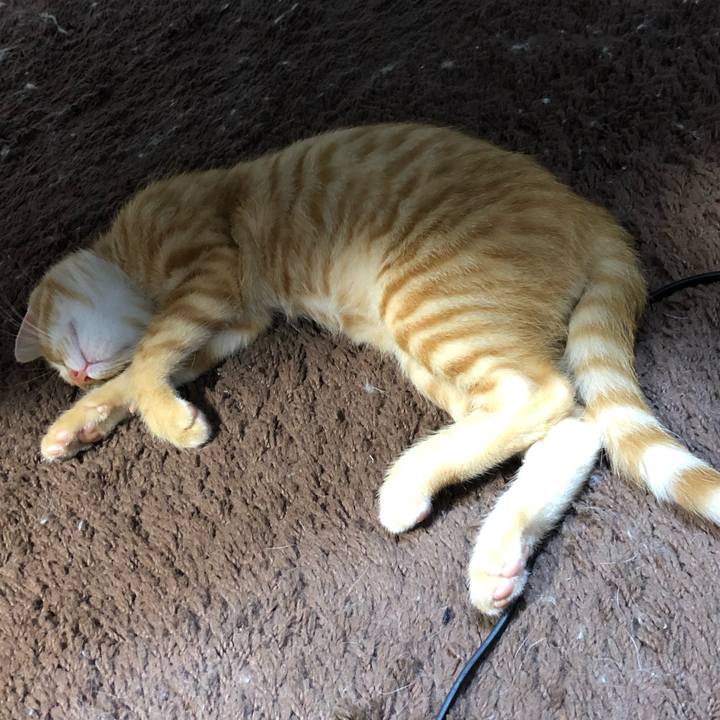 893b3000 bb7d 4841 a4cd 3e7ff97fd470 1565960089501