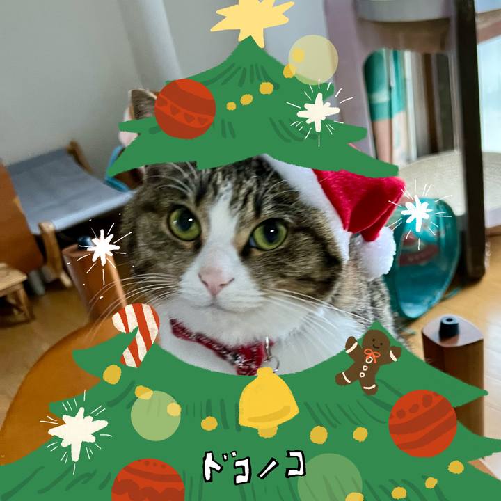 893b4628 2564 406e 9969 ec21671c85cd 1764177948774