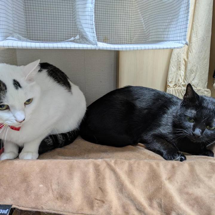 893b5288 53cf 4ee6 98ab 40c08a5c0e5c 1764955421133