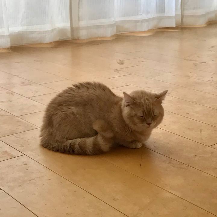 893b6e90 1de6 4518 94ae 40cb56adcaba 1521256899816