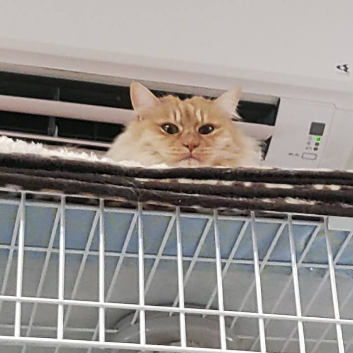 893b97f7 5fd1 449e 924d 568d49d8665e 1708857788122