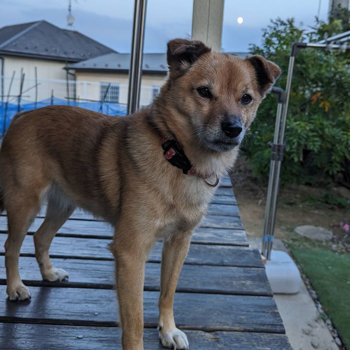 893ba3e6 7721 43ea 910d 5582fd7832a0 1698393542403