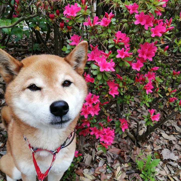 893bb912 f870 436f a8fd 915b9c9aa09a 1650261567290