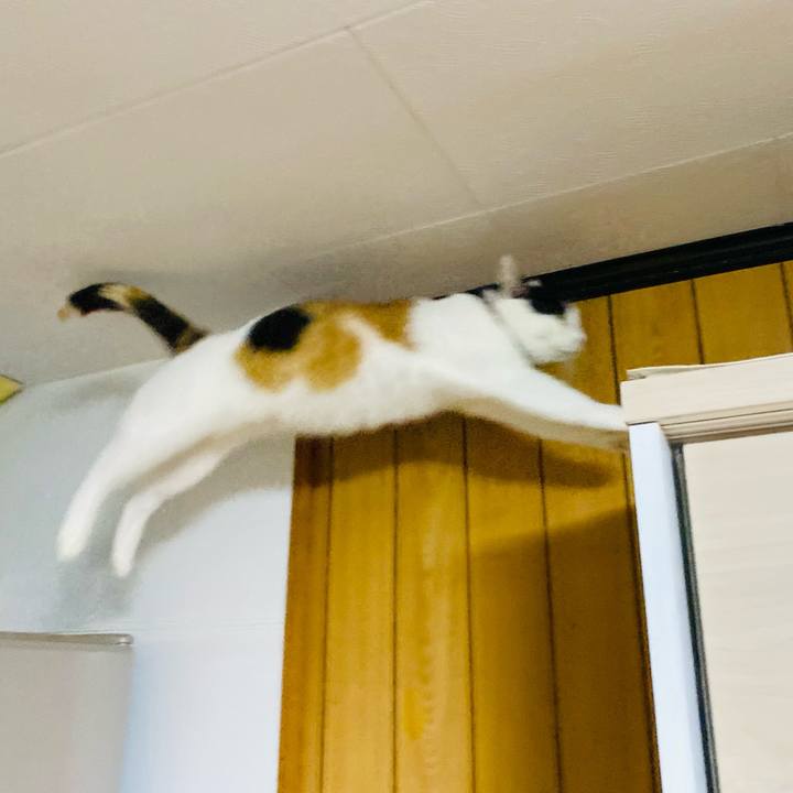 893bde8f f1a8 4f21 99b0 678ef7dd1f24 1663973539643