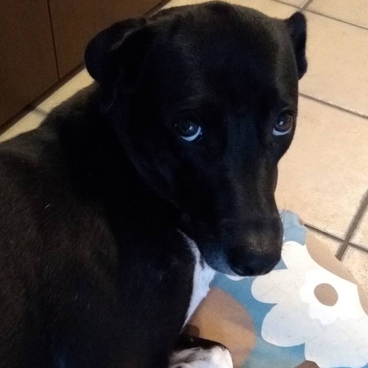 893c195c 75b4 43e9 8754 1e6258a8fbaf 1604915905324