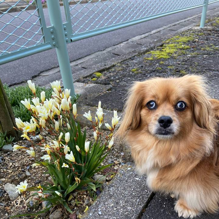 893c1db0 f89c 44f0 b8da da92f449eb30 1587513282087