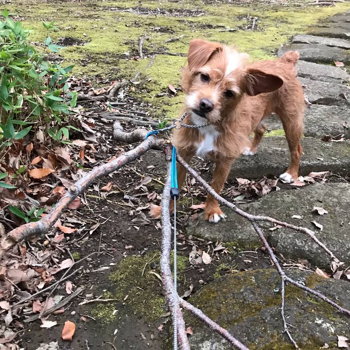 893c5b02 edcf 4c61 99c4 075d85cc134a 1580125614537