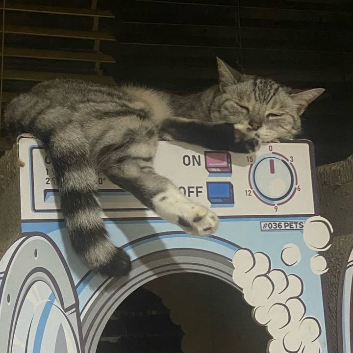 893c843a 85cf 47b1 b70e 52d51a2e4013 1723301171694