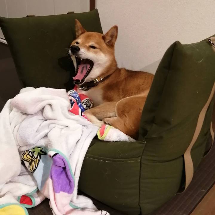 893c8756 8015 482e 8454 0c9831b358e7 1621675931751