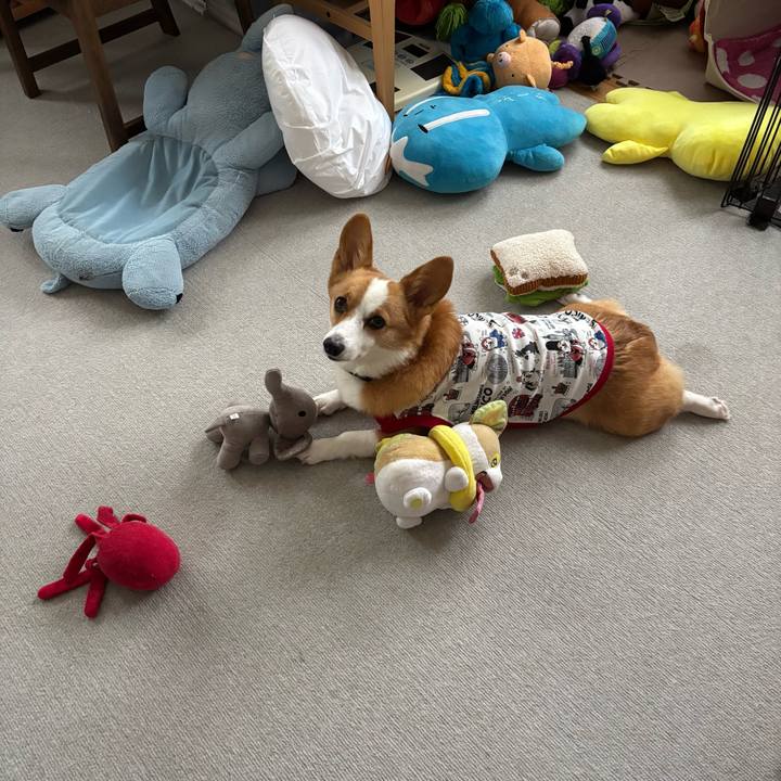 893c8d4f 2a1c 4f63 b546 c7c30e08d085 1761371734371