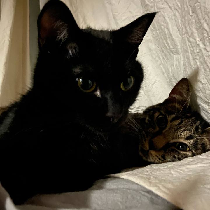 893cbf70 6763 415f a5a4 23850ebf3450 1627472426784