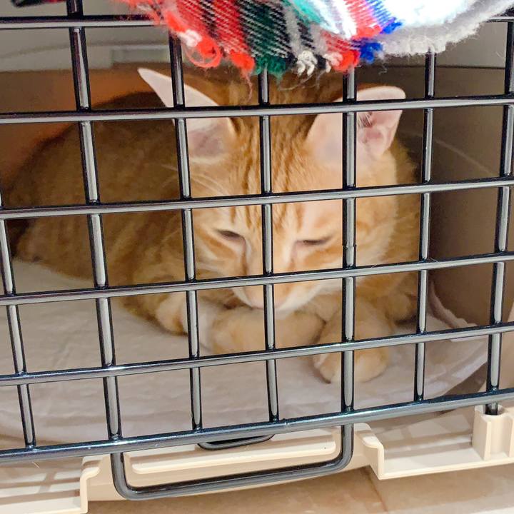 893ccd45 d214 4320 93a2 33745bfe3b8c 1605793691154