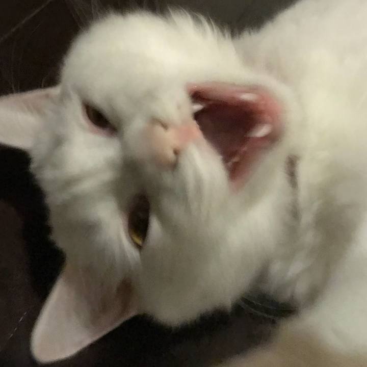 893cf383 f6ab 423c 993f 9a6a2df1fa46 1514028920843