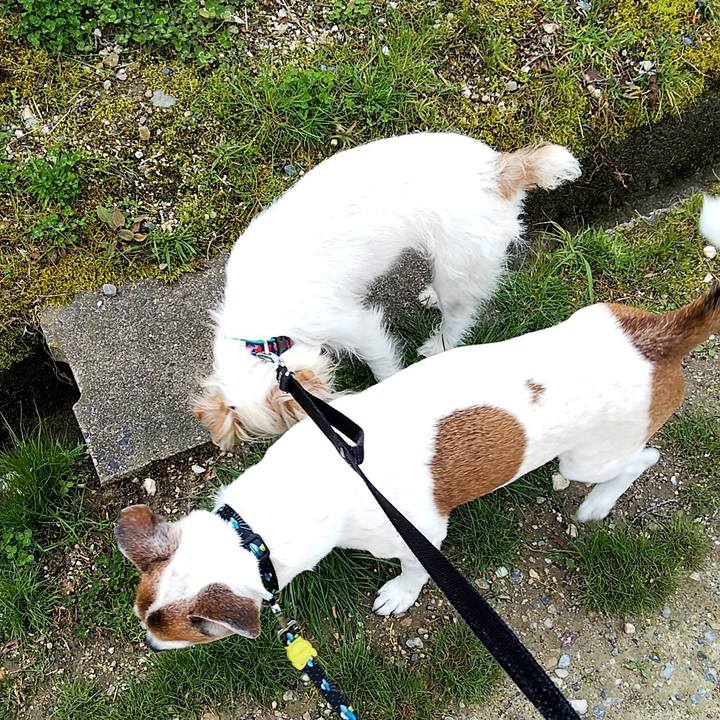 893cf87f 510b 4eef 9620 5fe7038f3d86 1553266364826