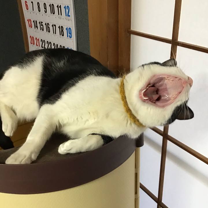 893cff20 9f30 4988 9f5a 7e110b08d28b 1646437666333