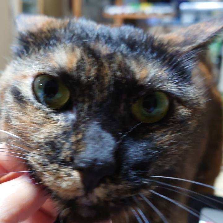 893d0429 3992 445f 9e50 f75e46ce7239 1730382069183