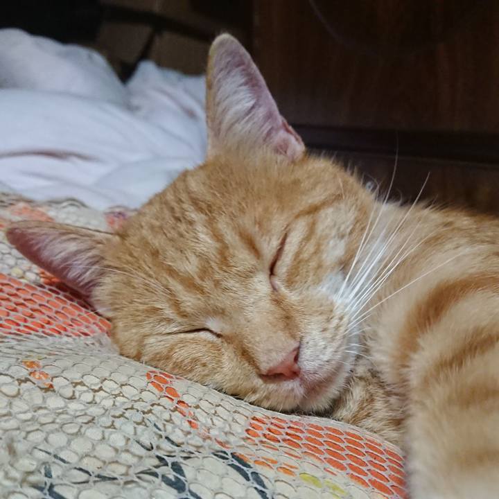 893d09ce eb14 4708 85b3 4f37cdf35041 1570450796883