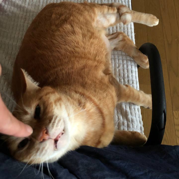 893d39a4 014b 43a3 922a 935fadf929b4 1655202119660