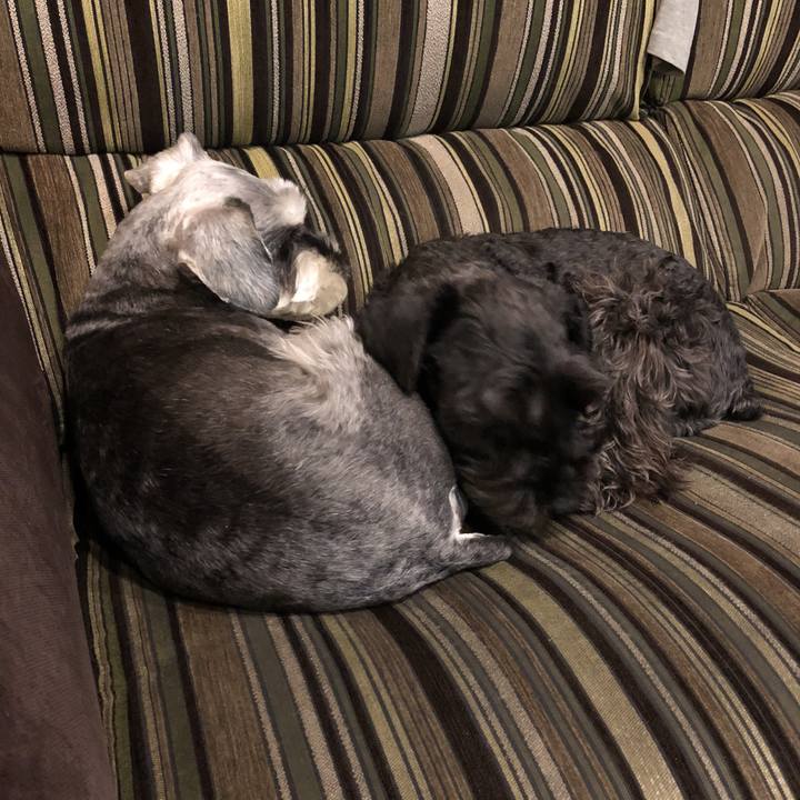 893d3da7 04a5 477c a3bc 62f737835664 1521723051124